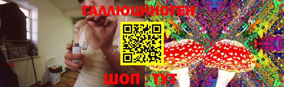 Псилоцибиновые грибы мицелий Белово