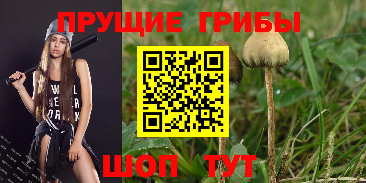 Белово  Псилоцибиновые грибы Magic Shrooms  Вход с VPN 